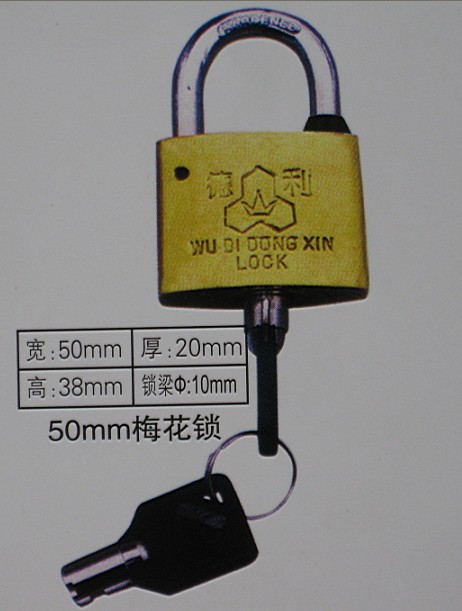 50mm梅花表箱挂锁,国网标志电力专用通用锁,一把钥匙通用锁