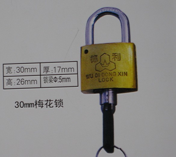 30mm梅花表箱挂锁,铜挂锁,一把钥匙开一万把挂锁,通用锁