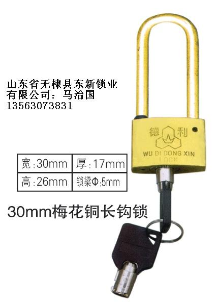 35mm长梁塑钢表箱挂锁,农村改造电表箱专用通开挂锁,一把钥匙开多把锁